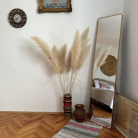 Tradicional